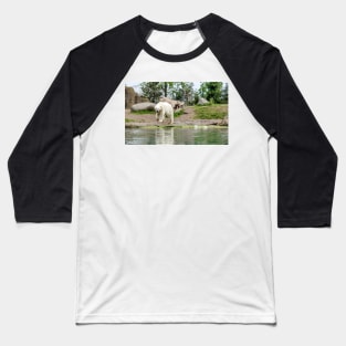 Polar bear walking by lake Baseball T-Shirt